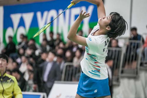 收录和排名 收录和排名