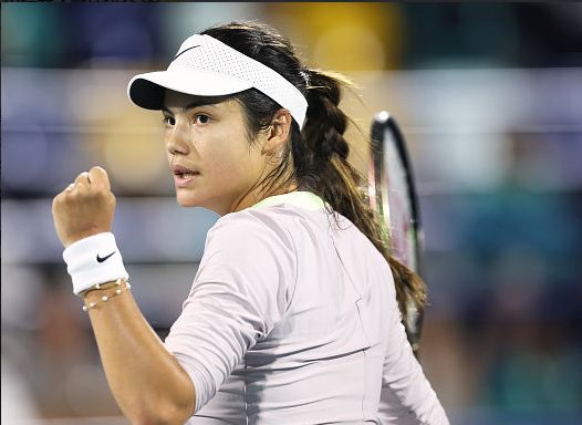 鹿当下的争 鹿当下的争